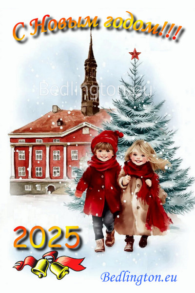 Новый 2025 год! Новый 2025 год!