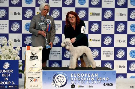 Stars Rondel The Leader of The Ring Stars Rondel The Leader of The Ring